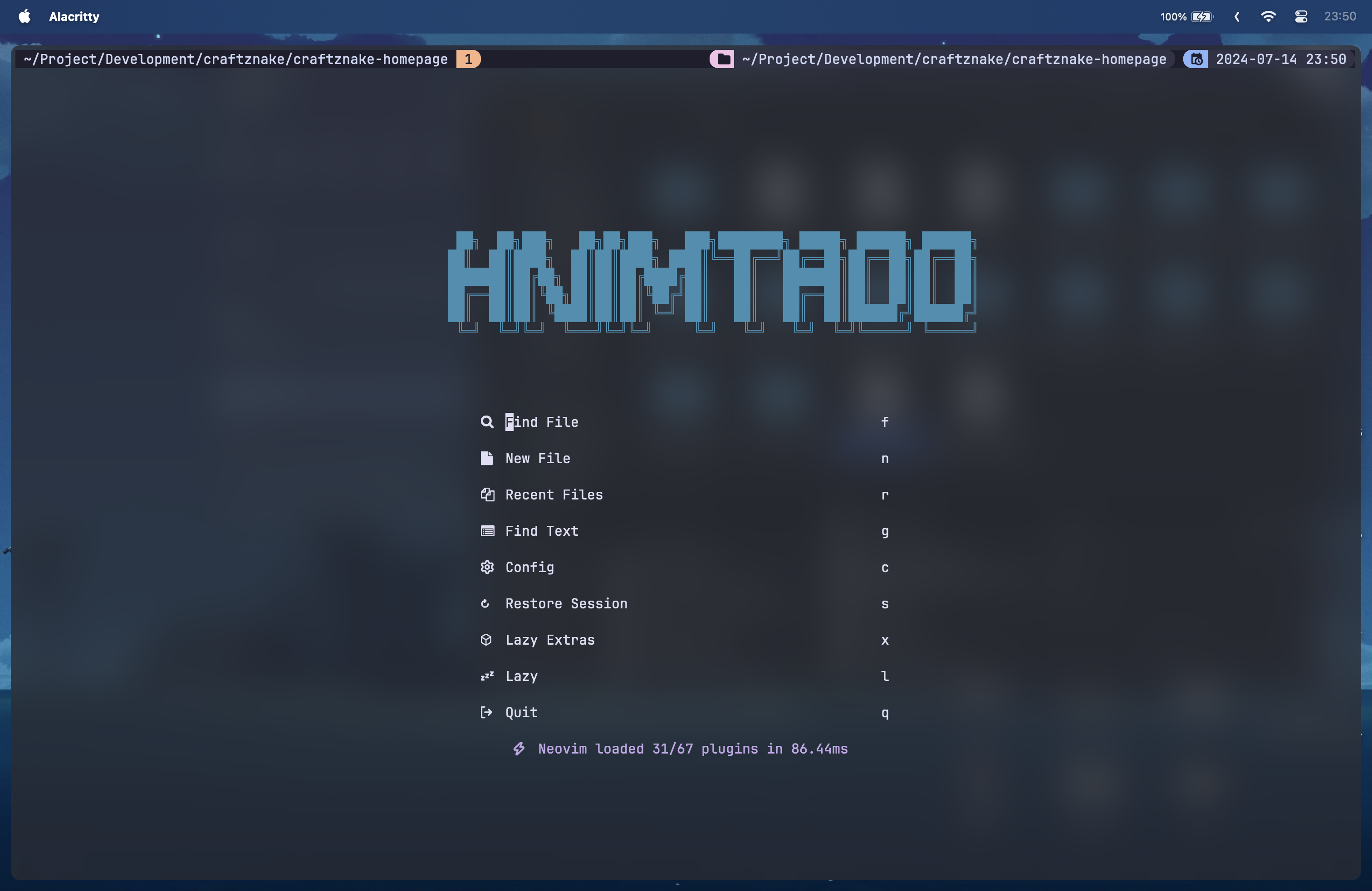 nvim dashboard